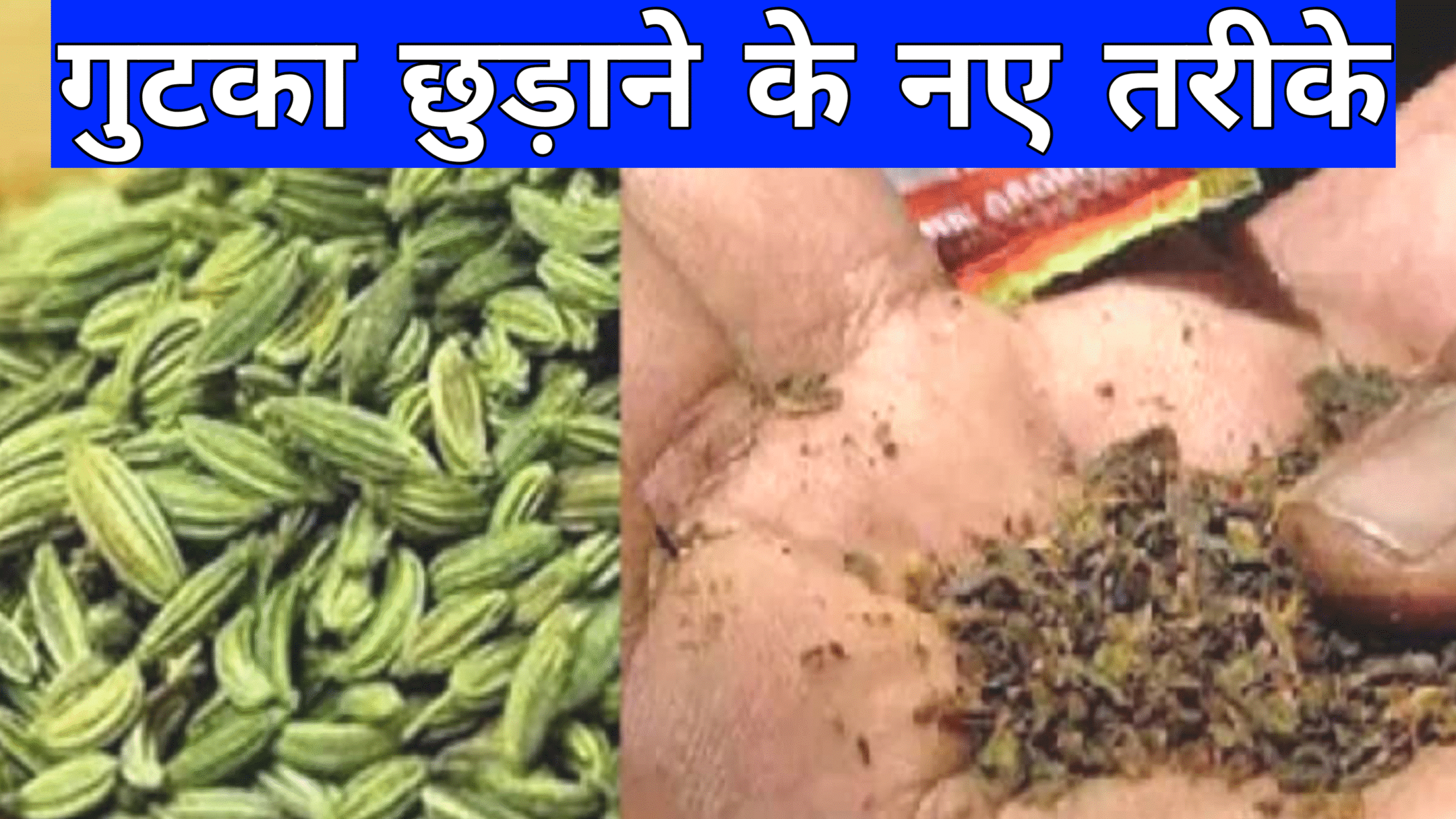 20250903 085053 scaled गुटका छुड़ाने के नए तरीके 21 दिन में जानिए पूरी जानकारी