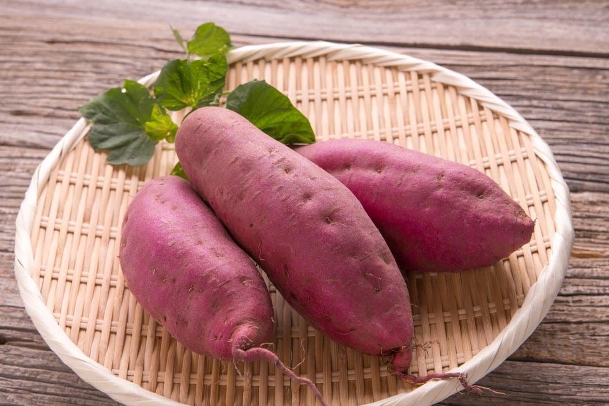 शकरकंद खाने के फायदे और नुकसान क्या है 2025 में जाने यहां पर पूरी जानकारी 3 शकरकंद खाने के फायदे और नुकसान क्या है 2025 में जाने यहां पर पूरी जानकारी शकरकंद खाने से क्या होता है 2025 में