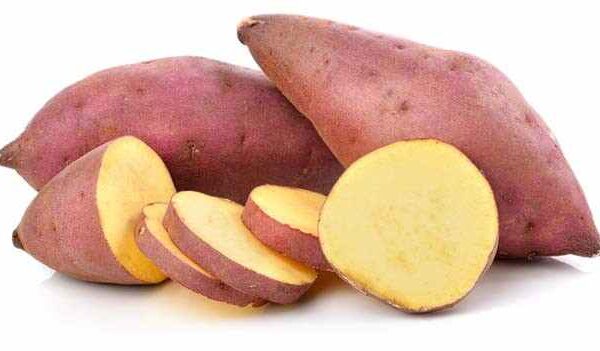 image search 1761536411636 शकरकंद खाने के फायदे और नुकसान क्या है 2025 में जाने यहां पर पूरी जानकारी